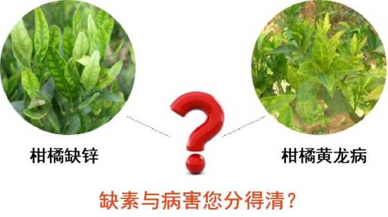 6355935303144726561712463.jpg_280.jpg 6355935303144726561712463.jpg_280.jpg