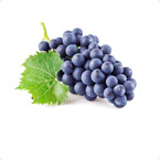 葡萄營養(yǎng)方案 葡萄營養(yǎng)方案