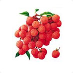 荔枝龍眼營(yíng)養(yǎng)方案 荔枝龍眼營(yíng)養(yǎng)方案
