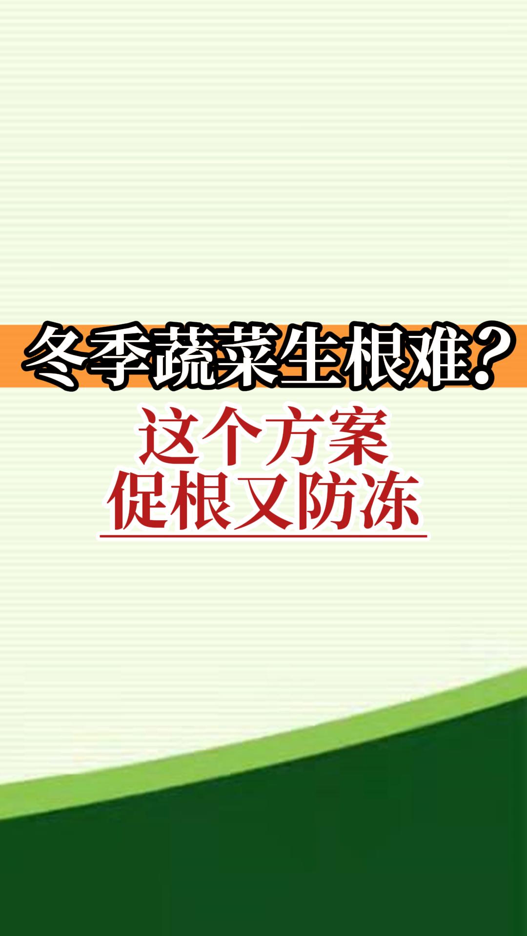 冬季蔬菜生根難？這個方案促根又防凍