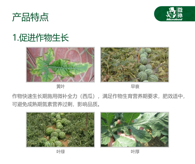 微補全力西瓜1kg