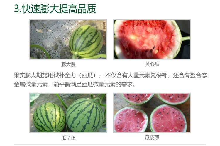 微補全力西瓜1kg