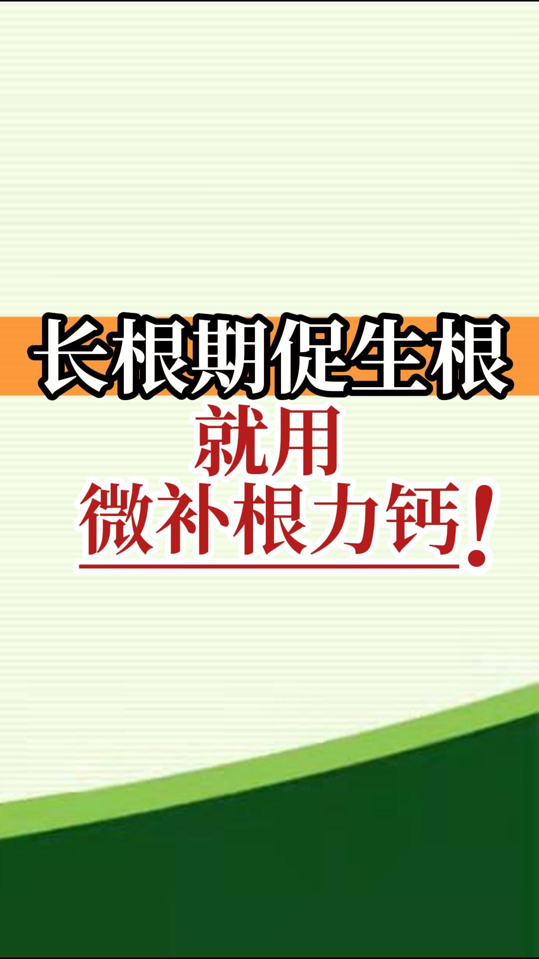 長根期促生根就用微補(bǔ)根力鈣！