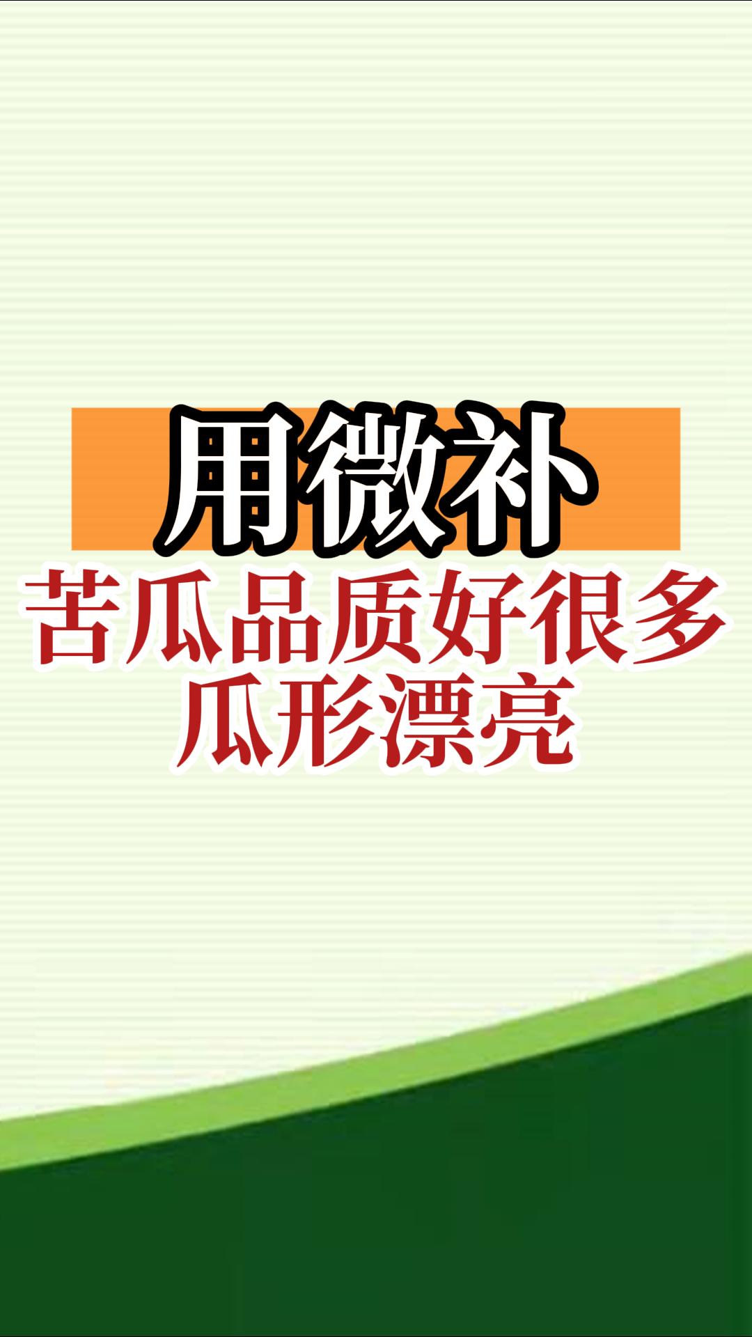 用微補(bǔ)，苦瓜品質(zhì)好很多，瓜形漂亮