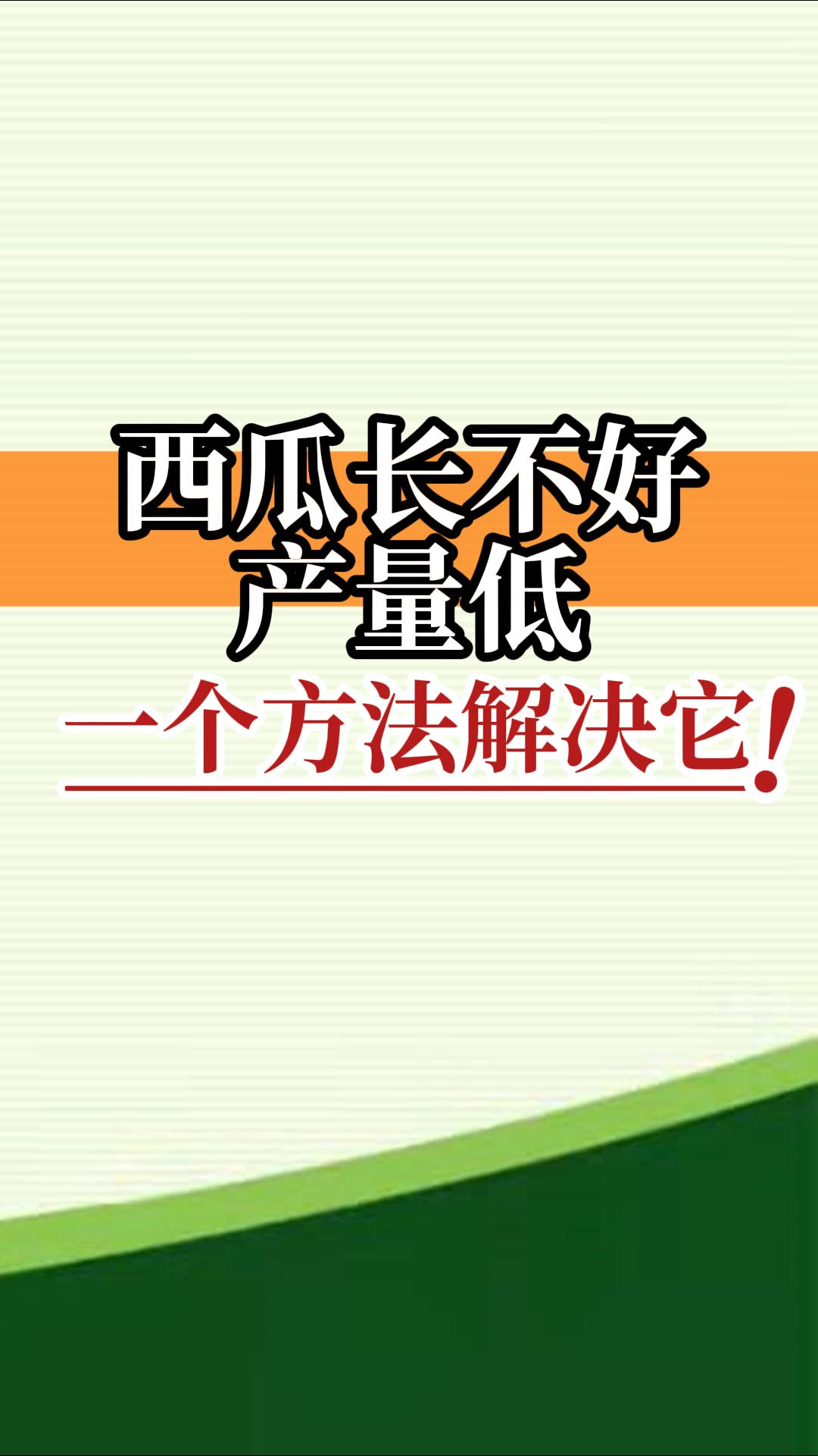 西瓜長(zhǎng)不好產(chǎn)量低？