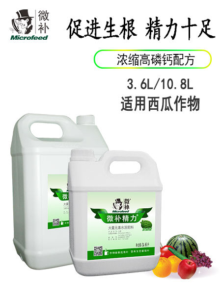 微補(bǔ)精力西瓜