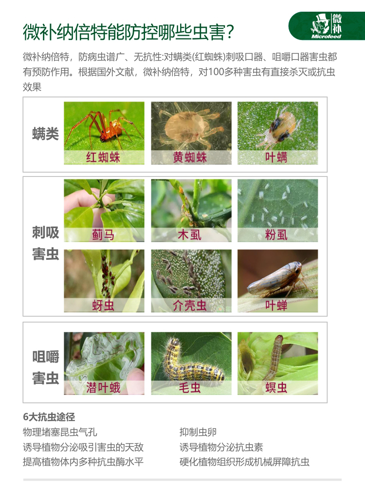 微補(bǔ)納倍特