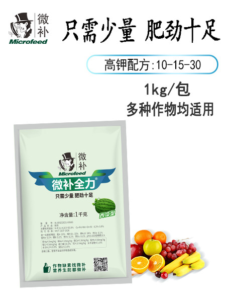 微補(bǔ)全力（西瓜型）