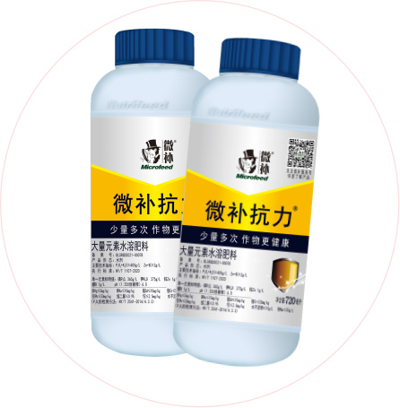 如何做好冬季清園，減少來年病蟲害影響