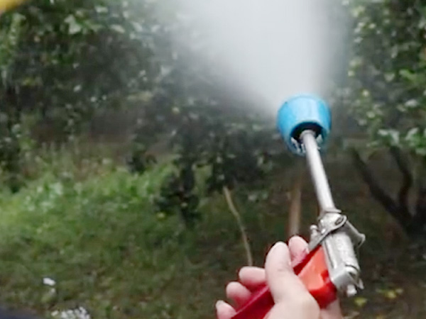 如何做好冬季清園，減少來年病蟲害影響