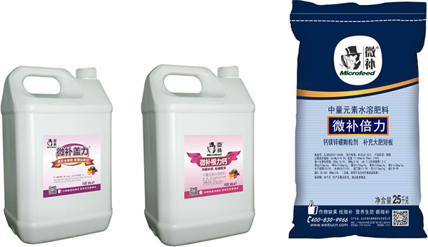 讓作物安全過冬的實用小妙招，速看