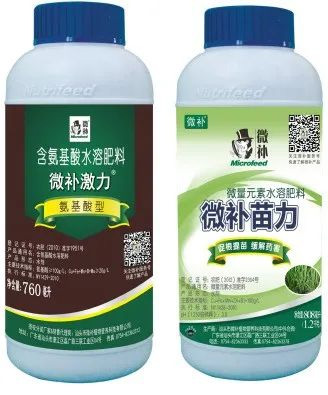 讓作物安全過冬的實用小妙招，速看