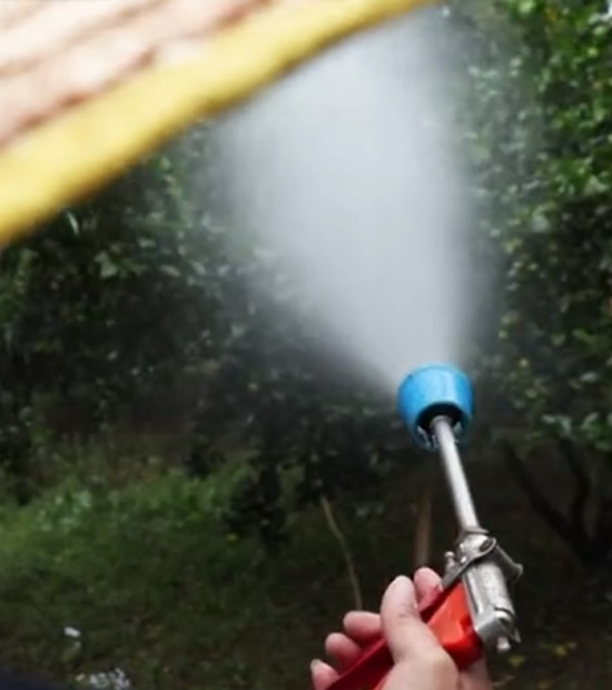 如何做好冬季清園，減少來年病蟲害影響