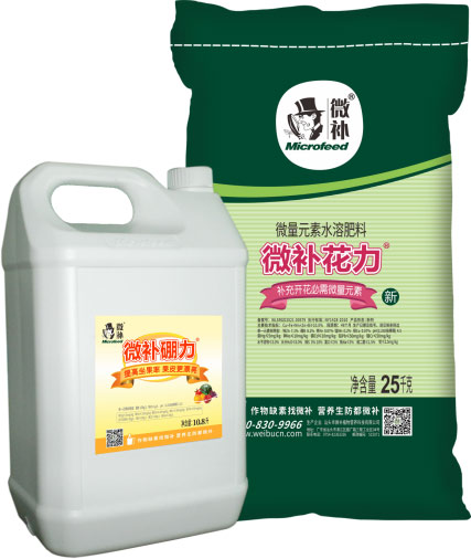 一月份柑橘管理