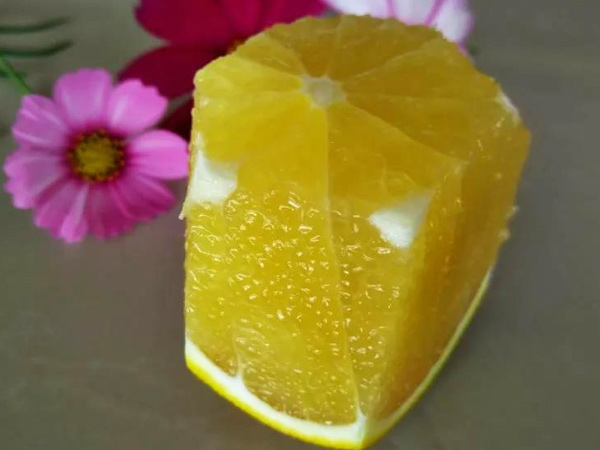 震驚！施秋肥還會(huì)影響果實(shí)賣價(jià)？