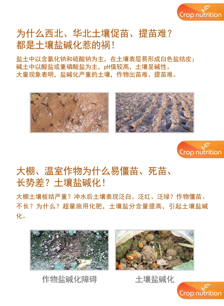 因迪樂(lè)水溶肥5-35-10