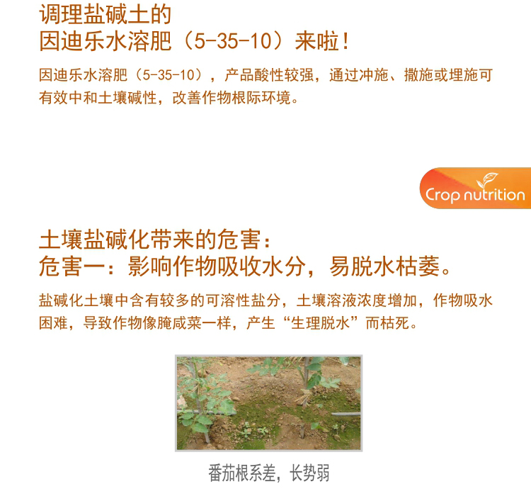 因迪樂(lè)水溶肥5-35-10