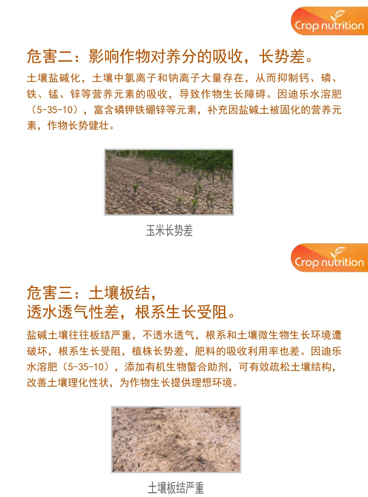 因迪樂(lè)水溶肥5-35-10