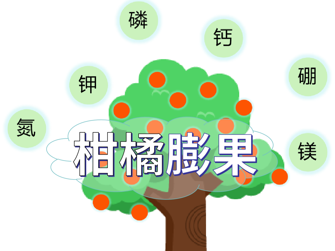 柑橘<i style='color:red'>膨果</i>慢？找準(zhǔn)原因，“對癥下藥”