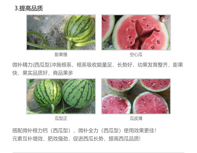 微補精力西瓜型