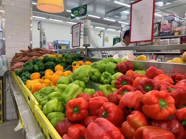 深度思考：我們到底應(yīng)該向以色列農(nóng)業(yè)學(xué)習(xí)什么？