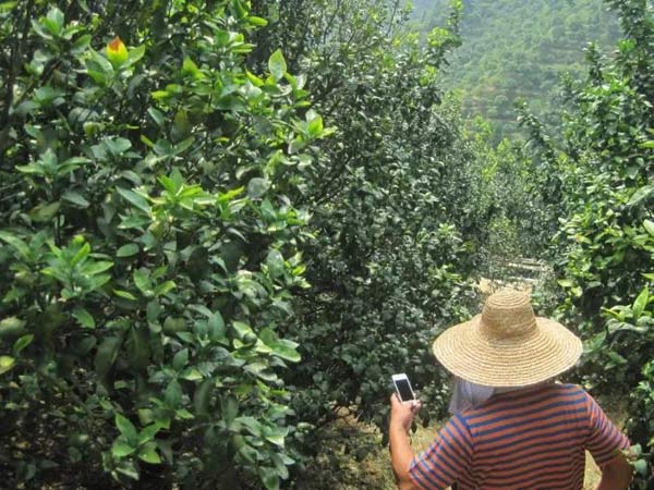 微補(bǔ)三級(jí)火箭方案有如此神奇功效？