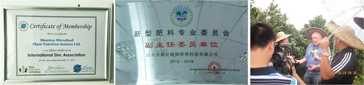 微補(bǔ)簡(jiǎn)介