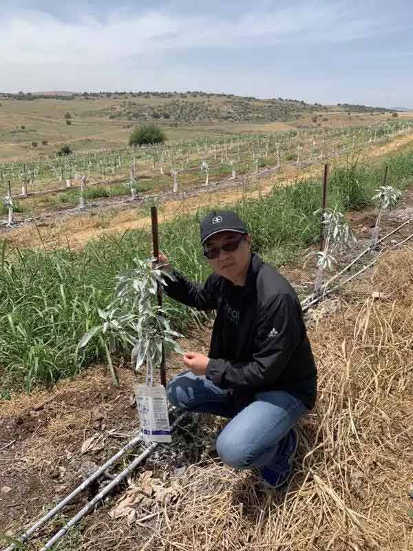 深度思考：我們到底應(yīng)該向以色列農(nóng)業(yè)學(xué)習(xí)什么？