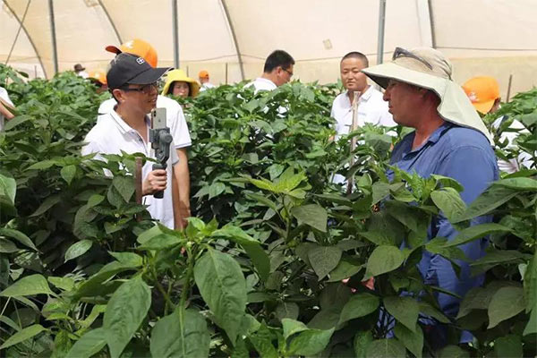 深度思考：我們到底應(yīng)該向以色列農(nóng)業(yè)學(xué)習(xí)什么？