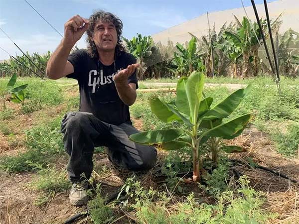 深度思考：我們到底應(yīng)該向以色列農(nóng)業(yè)學(xué)習(xí)什么？